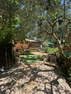 Magione B&B - Sant'Agata de' Goti - 2