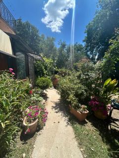 Magione B&B - Sant'Agata de' Goti - 3