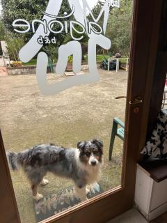 Magione B&B - Sant'Agata de' Goti - 6