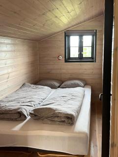 Panoramic Cabin With Forest And Mountain Views - 1