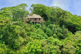 Palau Carolines Resort - Koror - 5