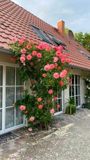 Historic Holiday Home By Lake Jabel - 8
