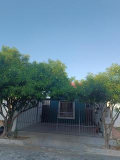 Casa arbolada - Mérida - 1