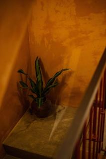 Stylish Old Quarter Condo With Bathtub, Netflix - Hanoi - 7