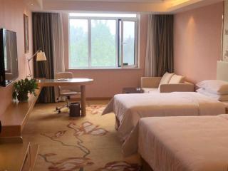 Vienna Hotel Shandong Qufu Sankong Landscape - 6