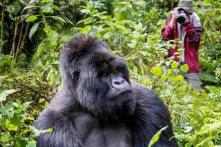 Discover Uganda with the Best Travel Company - Nalakonge - 2