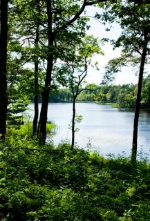 Ekebacken Hotell & Konferens - 1