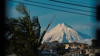 Cozy Tiny House & Sleepout Combo Near The Beach - New Plymouth - 0