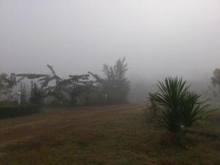 Suanlamyai Resort - Loei - 8