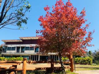 Hongfu Boutique Resort - 3