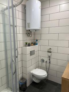 Apart Assistant on Victory - 2