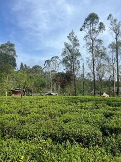 Nalinda's Homestay - - 8