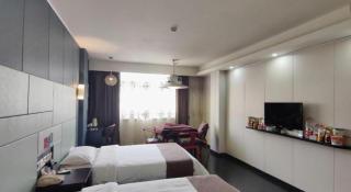Thank Inn Plus hotel He'nan Zhoukou Chuanhui District Red Star Macalline - Zhoukou - 5