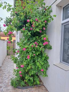 Yraida's house Constanta - Constanţa - 8