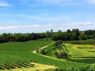 Ferien- Und Winzerhof Simon - Fribourg-en-Brisgau - 9