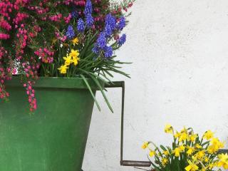 Ferien- Und Winzerhof Simon - Fribourg-en-Brisgau - 6