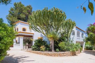 'Bohemian Pearl' - artsy oasis in the North of Ibiza - Ibiza - 8