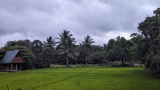 Wilpattu Green Cabin - Achchamulai - 2