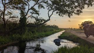 Wilpattu Green Cabin - Achchamulai - 3