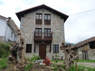 Respira naturaleza y tranquilidad a 5' de Cangas - Narciandi - 9