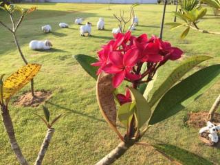 The Lofts Eco Resort - 4