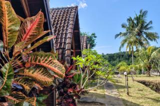 The Sweet Corn Bungalow - 3