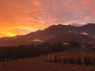a RPH 360 Homestay - Kundasang - 0