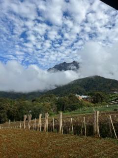 a RPH 360 Homestay - Kundasang - 5