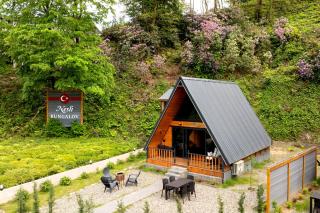 Nesli Villa & Bungalow - Dubleks Bahçeli Villa - Yanıkdağ - 3