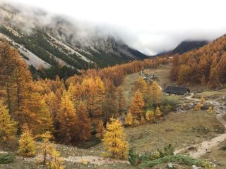 Tiny House Campo Smith - Bardonecchia - 8