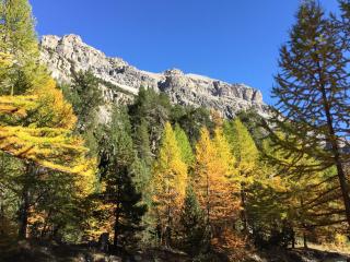 Tiny House Campo Smith - Bardonecchia - 5