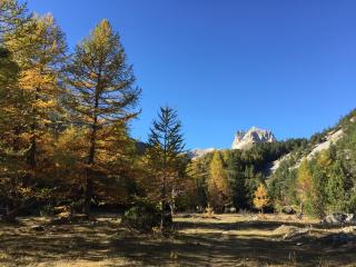 Tiny House Campo Smith - Bardonecchia - 2