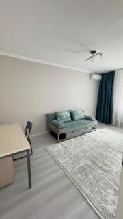 Алматы арена квартира - 4