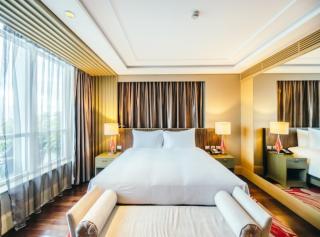 Hotel Rosewood Near Delhi IGI Airport - Neu-Delhi - 7