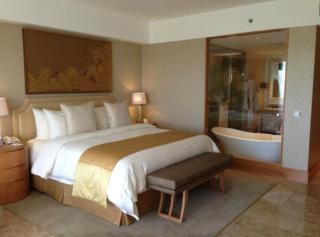 Hotel Rosewood Near Delhi IGI Airport - Neu-Delhi - 6