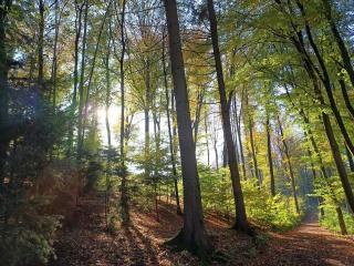 FeWo am Beutling mit Fernblick - Niederdorla - 1
