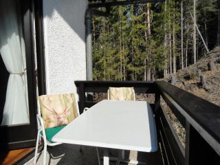 Ferienwohnung Waldchalet Aigner - Seeboden - 4