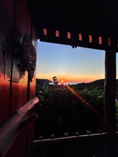 BlueCottage or Seaview Cottage at Coram Deo Lodge self catering - Coffee Bay - 4