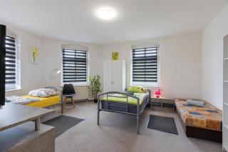 FLEX Aparts - möblierte 2-Raum Wohnung in Zwickau - Zwickau - 6