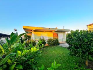 OLIVE Home - Durrës - 0