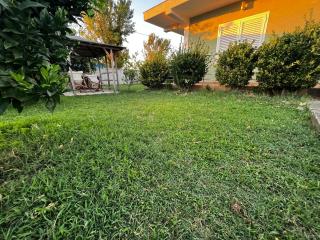 OLIVE Home - 3
