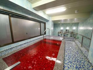 Hotel Naito Kofu Showa - Kofu - 4