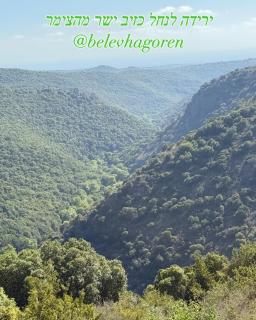 בלב הגורן belevhagoren - Goren - 8