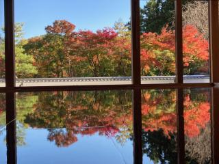 Sky Tree INN Ⅱ（晴樹宿Ⅱ） - 4