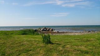 Haapsu Holiday Home - 1