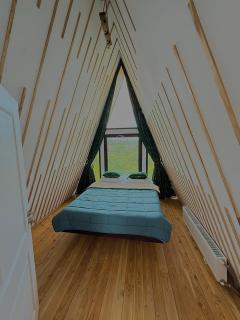 AnturAge Concept - 1