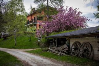 B&B Pian Savin - Giaveno - 8