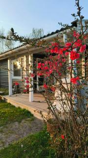 Small Cottage Near Vesterlyng Beach - Eskebjerg - 7