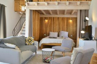 Stone Loft With Vercors Mountain Views - 9