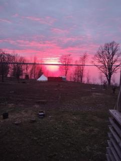 Glamping - - 2